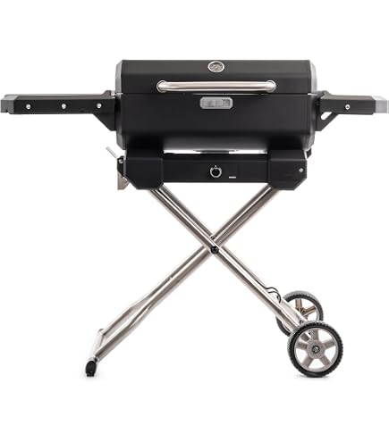 Amazon.com: Masterbuilt® Electric Portable Charcoal Grill and